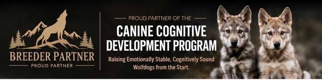 Breeder Partner and Canine Cognitive Development Program banner featuring two wolfdog puppies